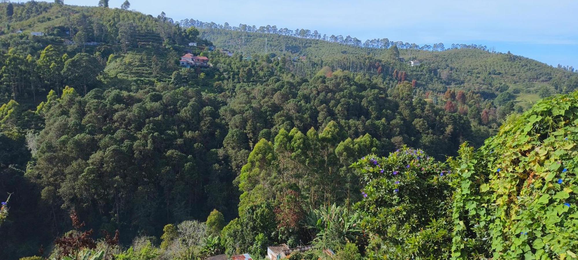 Highland Heaven Hotel Kodaikanal Bagian luar foto